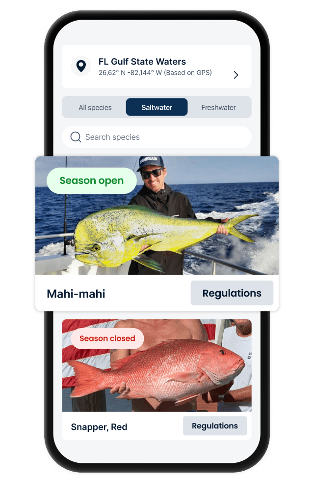 Fishing spot prediction - App feature preview