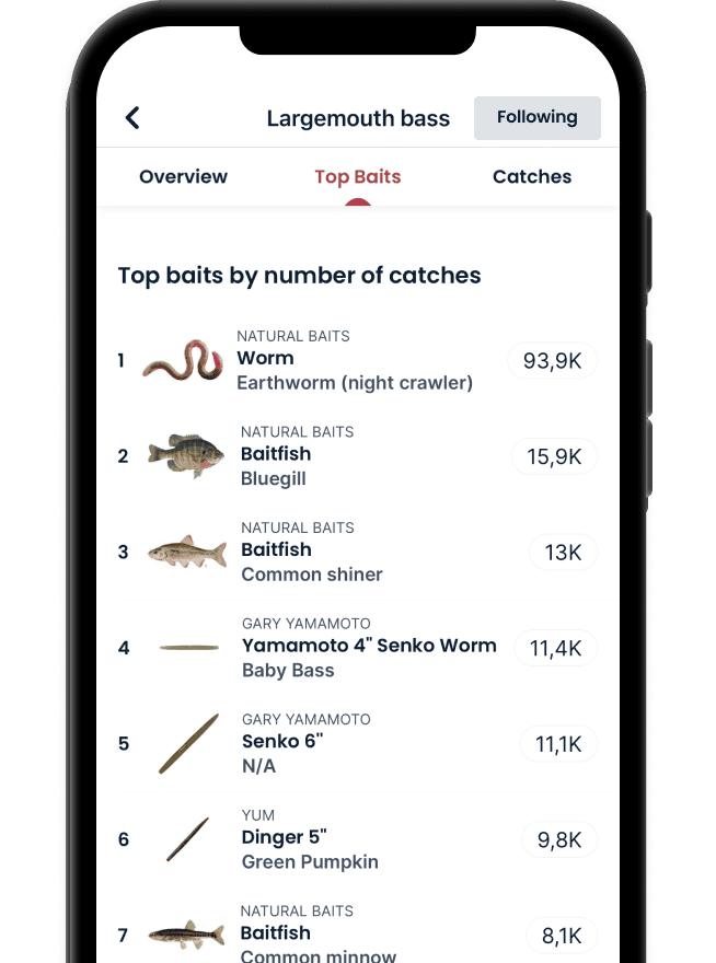 See top baits in the app