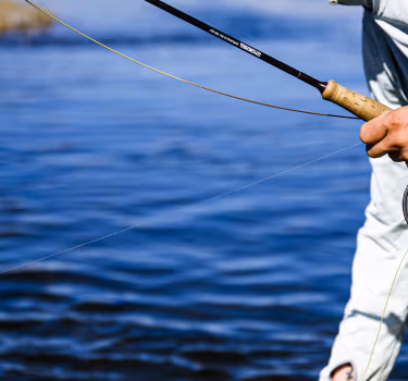 most liked catch image