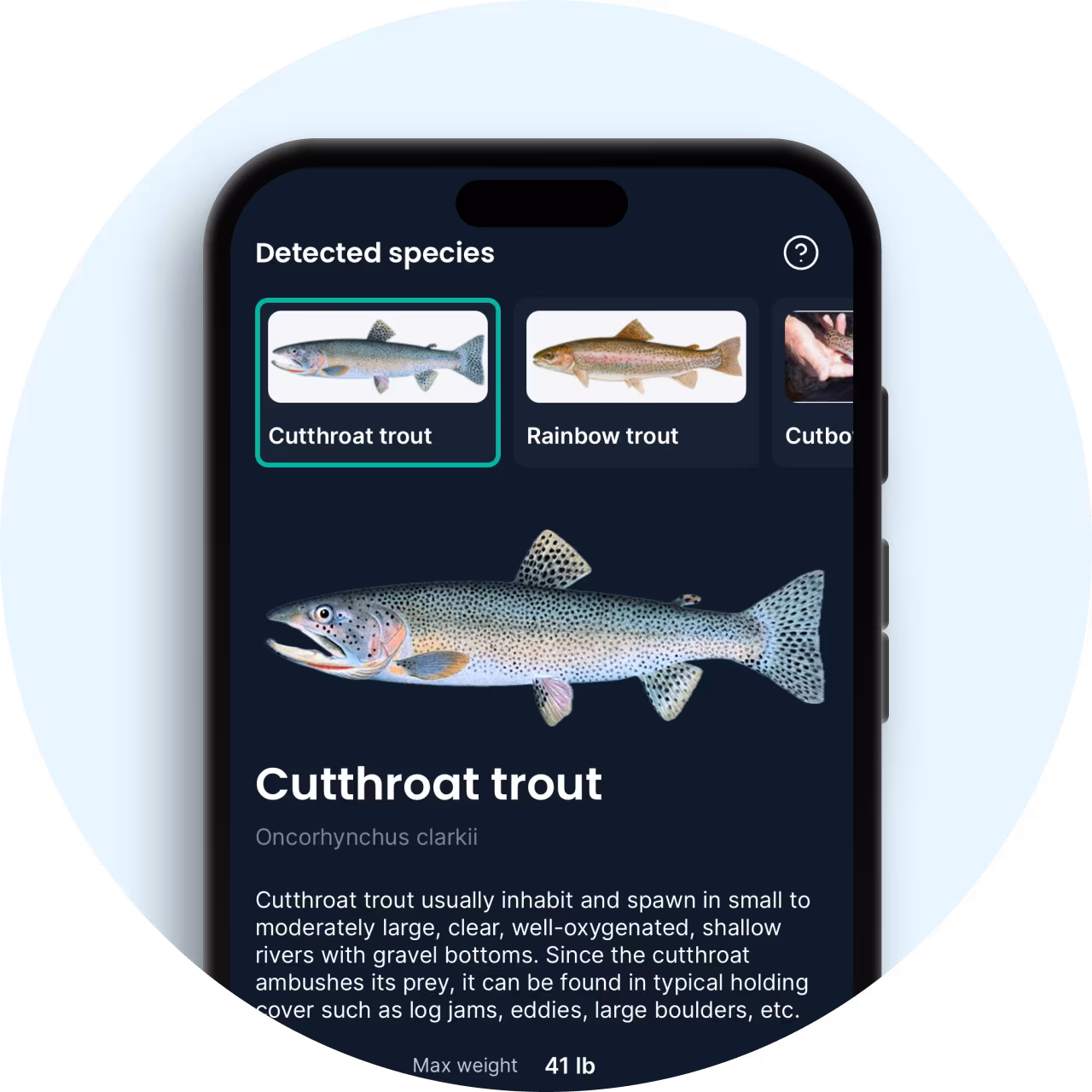 Fishbrain app shows the identified fish