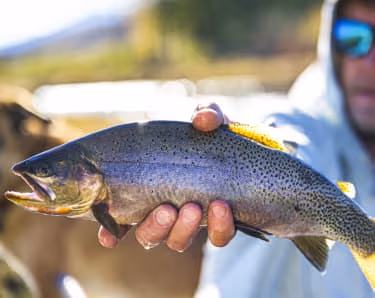 Man fishing