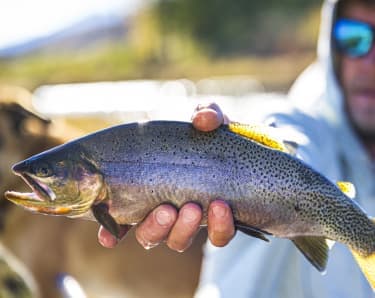 Man fishing