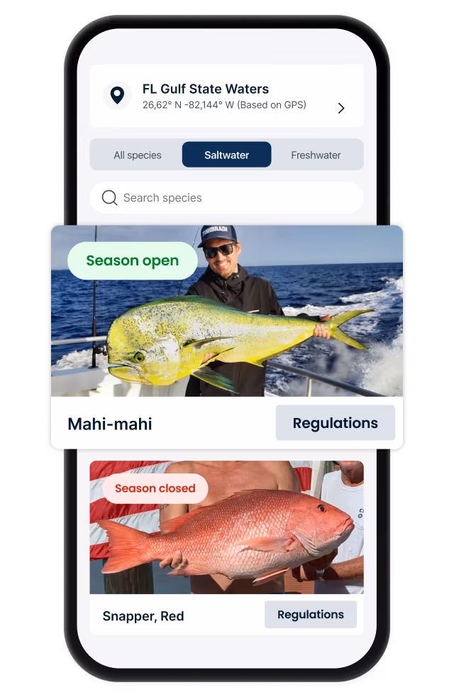 Fishing spot prediction - App feature preview
