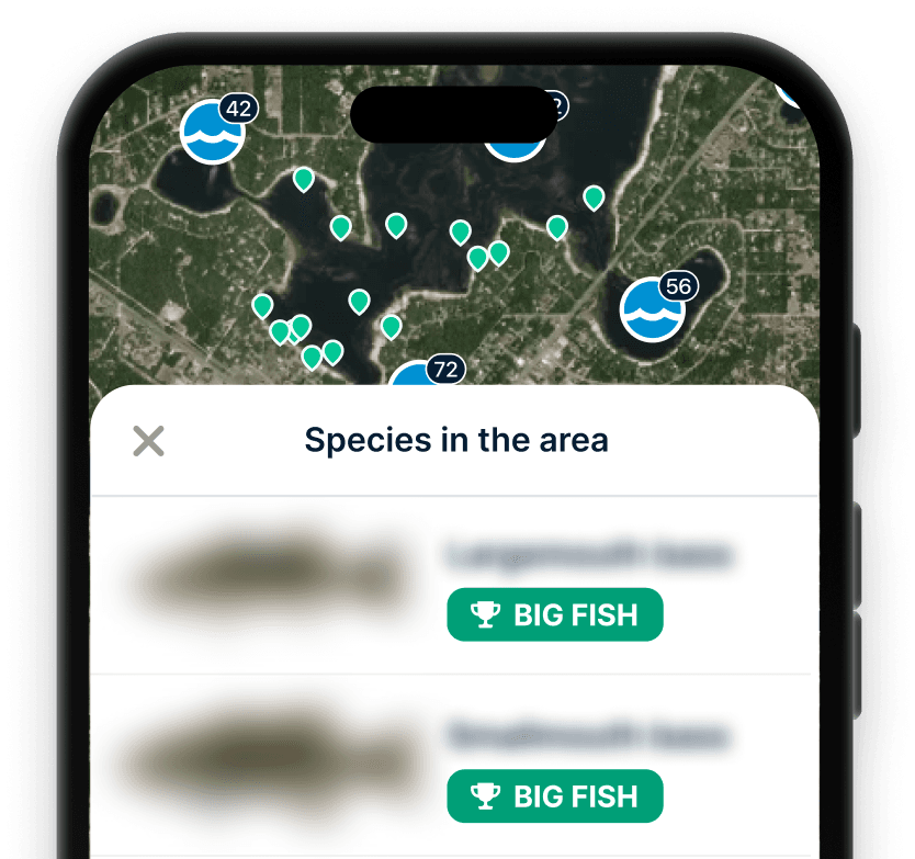 App Section